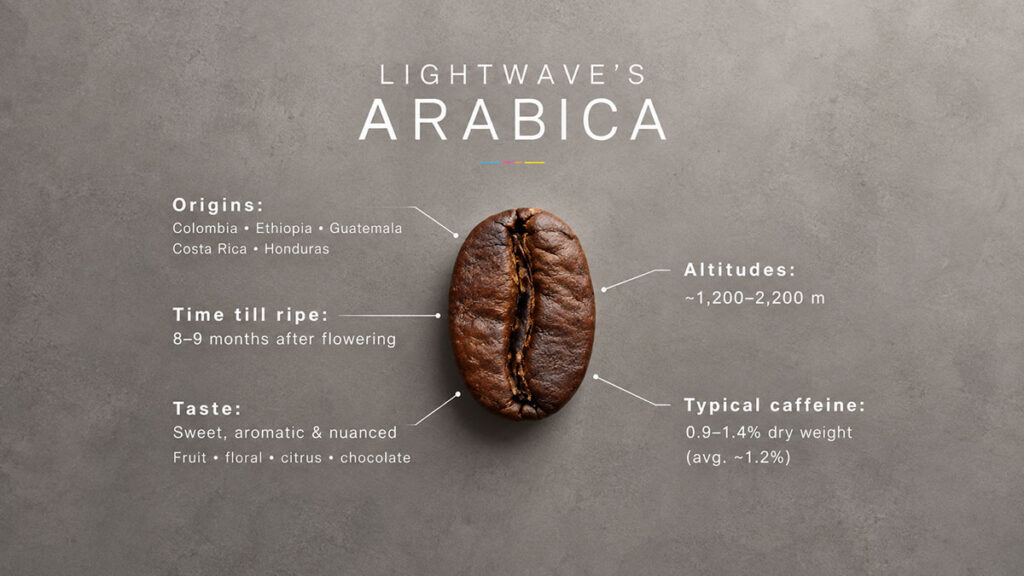 Lightwave Coffee Arabica infographic featuring a roasted coffee bean with details on origins, ripening time, taste profile, growing altitude, and typical caffeine content.