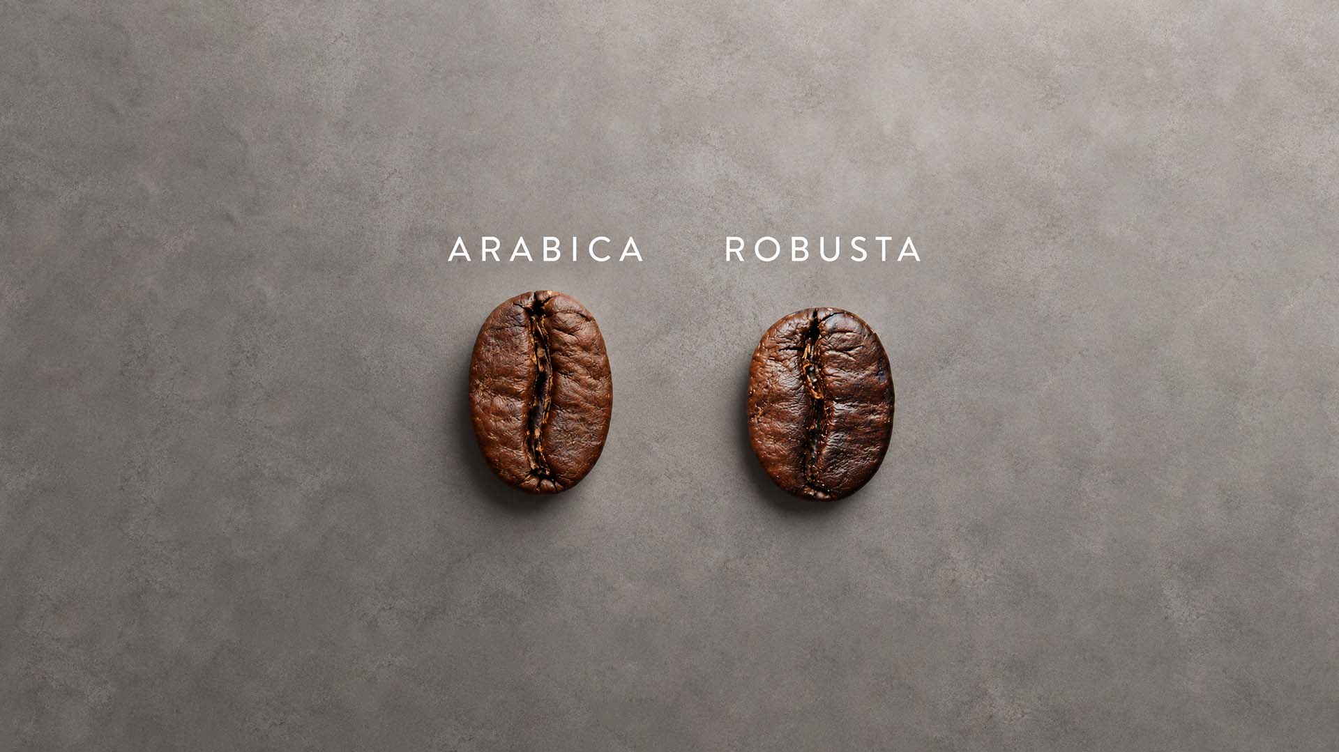 Arabica vs. Robusta: Lightwave’s Take