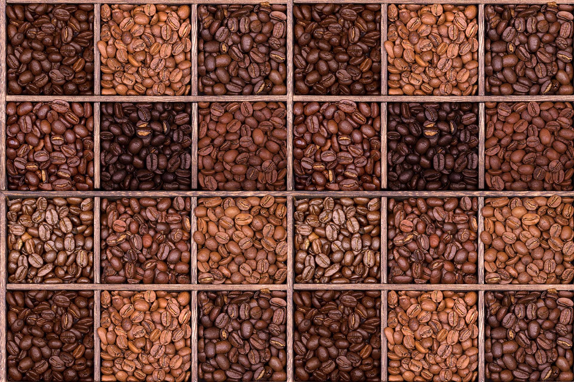 Light Roast vs. Dark Roast Coffee: Lightwave’s Take